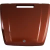 Mercedes-Benz G-63 Hood Orange OEM A4638802700