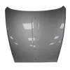 ROLLS ROYCE DAWN Hood Silver OEM 7347497