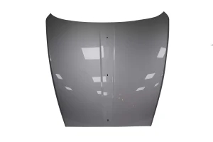 ROLLS ROYCE DAWN Hood Silver OEM 7347497