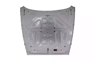 ROLLS ROYCE DAWN Hood Snow White OEM 7347497