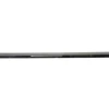 Continental GTC Left Driver Door Protection Trim Chrome Molding Silver OEM 3SD853515